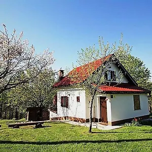  Vakantiehuis Coprnicka Hisa